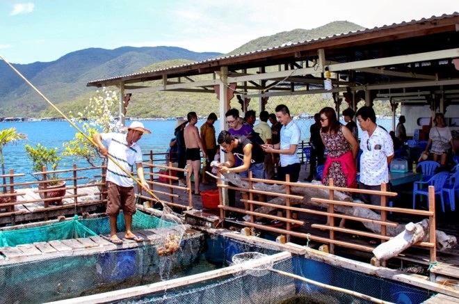 Xử lý vụ “chặt chém” du khách ở bè nổi đảo Trí Nguyên, Khánh Hòa